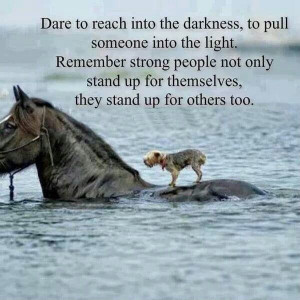 Dare to reach into the darkness...