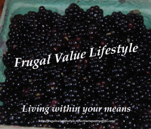 ReflectiveTapestryBlackberries