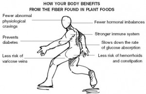 Dietary Therapy: High Fiber Diets