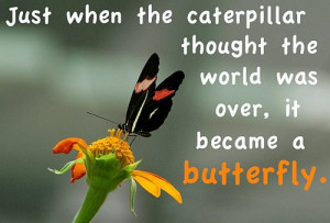 ... the caterpillar thought the world was over, it became a butterfly