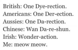 One Direction 1D Directioner