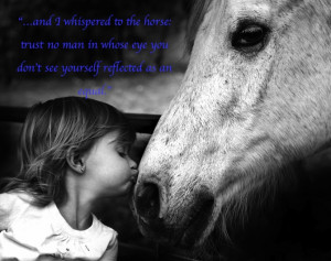 Horse Quotes Tumblr Picture