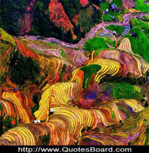 Every little makes a mickle – Wisdom Quote