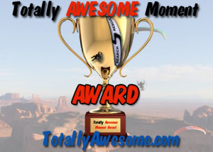 Totally Awesome Award