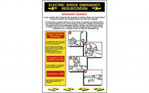 Electric Shock Emergency Resuscitation SKU: Elec-5