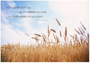 Harvest - Seeds Quote
