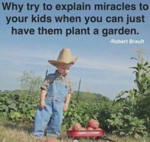 Plant a garden