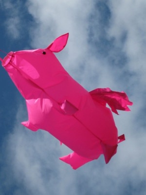 Pigs might also fly!