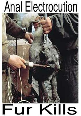 click thumbnails to enlarge