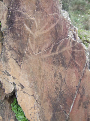 stag with huge antlers formed by scraping. Penascosa, Castelo Melhor ...