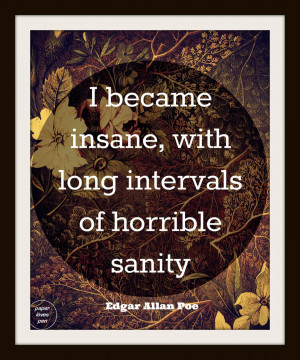Edgar Allan Poe Quotes Insanity Edgar allan poe insanity quote 8x10 ...
