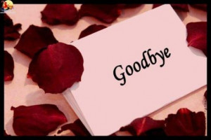 Good Bye 2010