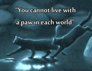 Warrior Cat Quotes Warrior Cats Pinterest