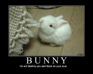 bunny animal motivational poster