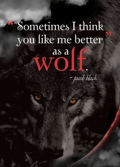 ... quote more dust jackets eclipse quotes jacobs black quotes twilight