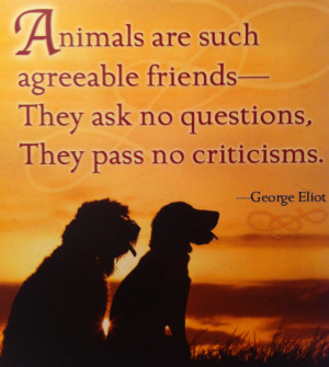 Animals Inspirational...