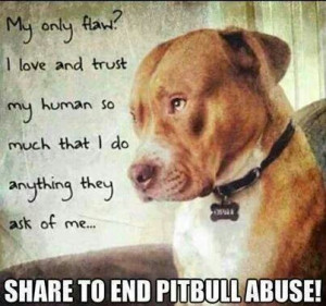 Pitbull Dog Quotes Tumblr #love #protect #dogs #pitbulls