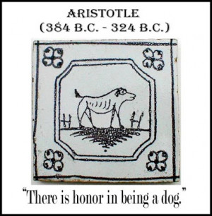 ... Quotes, Preferences Dogs, Dogs Aristotol, Dogs Aristotle, Dogs Life