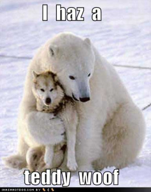 Funny Image Collection