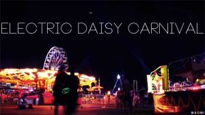 mygif edc electric daisy carnival