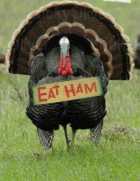 Eat ham -not-turkey-funny-thanksgiving - sayings
