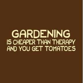therapeutic tomatoes! good!!