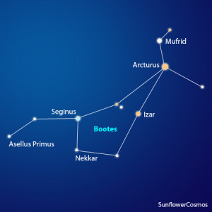 You need to enable Javascript.