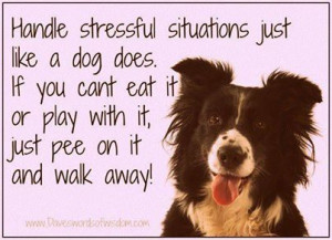 Handful stressful situations like a dog does . . . .