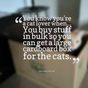 Cat Lover Quotes