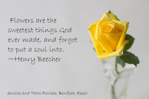 Henry Beecher, a quote and a beautiful yellow rose.