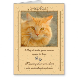 Pet Sympathy Loss of a Cat Greeting Card
