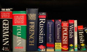 Foreign-language-dictiona-007.jpg