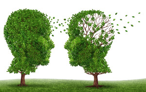 Spotlight On: The epidemic called Alzheimer’s