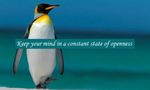 Keep your mind in constant state of Openness