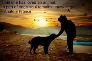 ... an animal, a part of one's soul remains unawakened.