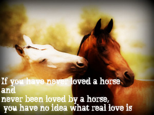 Smokey Hallow Stables