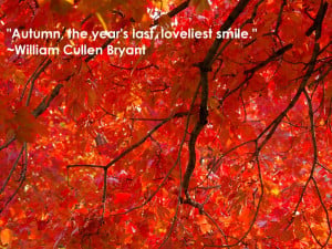 Which of these quotes about autumn is your favorite? Don’t forget to ...