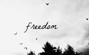 black and white, boys, free, freedom, girls, text, tumblr