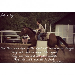 Quarter Horse from d MO