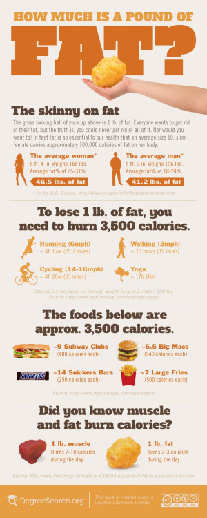 lb of muscle burns 7 10 calories compared to the 2 3 calories burned ...
