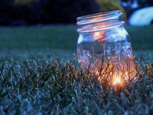 Fireflies or fairies?: Post, Favorite Places, Beautiful Places, Glow ...