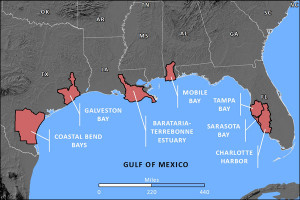 gulf of mexico coast3