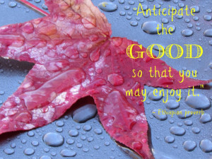 rain-drenched leaf on the hood of my car