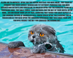 funny swimming quotes sweet-I can totally imagine my Mushka saying ...