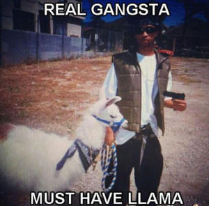 Real Gangsta Must Have Llama