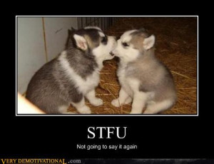 STFU | Funny Pictures, Quotes, Pics, Photos, Images. Videos of Really ...