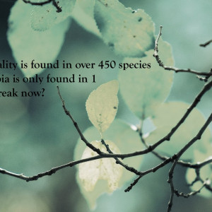 nature , minimalistic, text, funny, funny quotes, Famous Quote