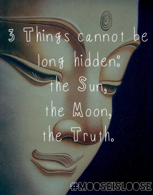 My Top 10 Most Favorite Buddha Quotes