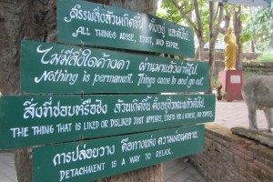 dhamma quotes on a tree in wat umong monestary chiang mai thailand