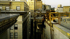 Castle! … Castle?”